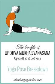 Urdhva Mukha Svanasana Benefits Yoga Pose Tutorial Adventure Yoga Online