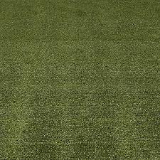 6pm score deals on fashion brands Boronia Artificial Grass 4m T 8mm Diy At B Q