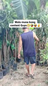 HAHAHAH MAY BACKGROUND MUSIC NA NAMAN METOY🤣😁, NO VIOLATION PLEASE  ✌️✌️✌️, #plantsmakepeoplehappy #follower , #highlightsシ゚ #everyoneシ゚
