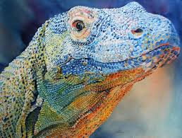 Maling Kathleen Komodo Dragon Art Komodo Dragon Kathleen