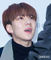 Kpop Idols Braces Sehun Kpop Idol Lingual Braces