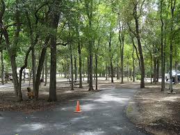 Full hookups let you directly connect your rv to water, electricity and sewer, allowing you to enjoy the great outdoors hookups: Palmetto State Park Full Hookup Campsite Texas Parks Wildlife Department