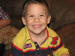 Who can install 3 ceiling fans in Edmonton?