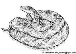 We did not find results for: Snake 14428 Animals Printable Coloring Pages