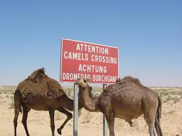 Mezi nejnavštěvovanější letoviska v tunisku patří hammamet, sousse, mahdia, zarzis a djerba, kde najdete především dlouhé. Dovolenka Tunisko Zajazdy Leto 2021 Vsetci Na Plaz Sk