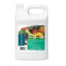 Malathion 57 Insecticide Solutions Pest Lawn