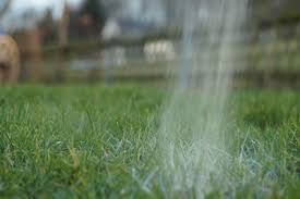 Für die regelmäßige erhaltungskalkung sollte der magnesiumgehalt des verwendeten gartenkalks allerdings nicht über zehn prozent liegen. Dolomitkalk Im Garten Wiki Zusammensetzung Und Vorteile Gartendialog De