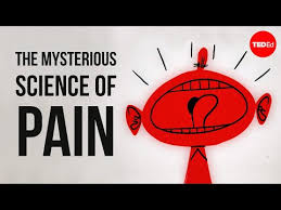 Pin On Human Body Systems