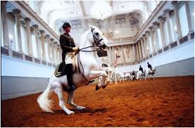 September 7, 2015 at 8:13 am. Lipizzaner Horseback Riding At Spanish Riding School Vienna Austria Writing Horseback