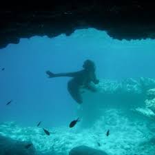 Laura-Anne Sammarco '81