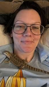 Can my bearded dragon fit into these sweaters?