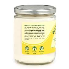 Key features we think the pet odor exterminator is the best pet odor eliminator candle because it doesn't just mask bad odors in the house. Buy Pet S Favorite Tested Proven Odor Eliminating Candle Pet Friendly Scented Candle In 4 Great Fragrances 70 Hour Burn Time Cotton Wick Lemon Zest Pack Of 1 Online In Indonesia B07mtnktlx
