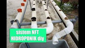 Sistem Nft Hidroponik Diy Hobihidroponik Sistemnft Hidroponik Youtube
