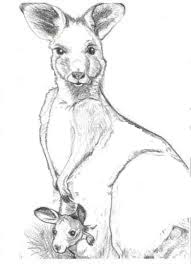Free Printable Kangaroo Coloring Pages For Kids Animal Coloring Pages Monster Truck Coloring Pages Pikachu Coloring Page