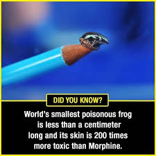 Science Facts Science Facts Amazing Science Facts General Knowledge Facts