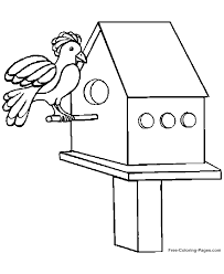 A sparrow is a member of the passer genus. Printable Coloring Book Pages Of Birds 01
