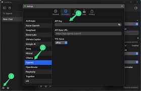 DeepSeekR1本地可视化运行！同时支持GPT4，Gemini，Cluade ...