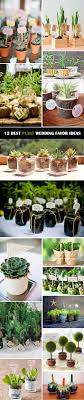 12 Ultimate Great Ideas For Lovely Plant Wedding Favors Plant Wedding Favors Wedding Gifts For Guests Wedding Favors