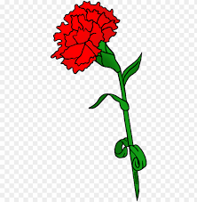 When autocomplete results are available use up and down arrows to review and enter to select. Ohio Carnation Flower Clipart Ohio State Flower Clipart Png Image With Transparent Background Toppng