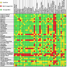 freshwater aquarium fish compatibility chart 1000