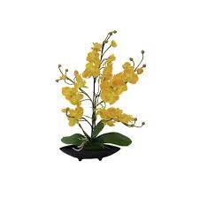 Giglio di rospo (tricyrtis spp.) pianta erbacea perenne, bulbosa appartenente alla famiglia quest'orchidea gialla è un regalo che non può lasciare indifferenti, ideale per donare luminosità agli spazi più bui. Orchidea Falsa Ivie Ciotola Zona Trasversale Giallo 50cm O7 9cm Fiori Artificiali Acquista Presso Impianti Online Shop