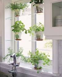 60+ window shelf for plants ideas
