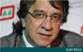 TODOS LOS NOMBRES DE ARROZ VERDE