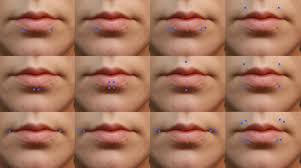 Because they are located on the lower lip. 20 Ways To Have Your Lip Pierced Part Ii Bites West Coast Ink