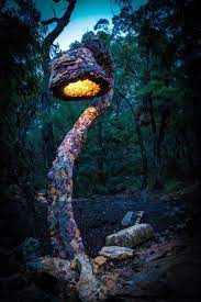 Stunning Clifftop Cave House In The Blue Mountains Of Australia Cave Images Blue Mountains Australia Blue Mountain