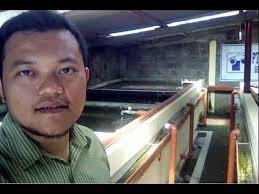 Keren Budidaya Lele Tanpa Ganti Air Bertahun Tahun Recirculating Aquaculture System Ras Youtube Pengikut