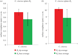 Hierarchical Structures Of Cactus Spines That Aid In The Directional Movement Of Dew Droplets Philosophical Transactions Of The Royal Society A Mathematical Physical And Engineering Sciences