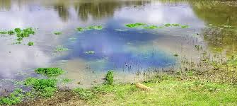 Maybe you would like to learn more about one of these? The Last Guide You Ll Ever Need On Pond Dye Fountains 2 Go