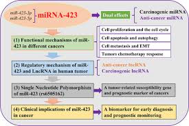 So we like to look for other, conclusive signs. Functional Mechanism And Clinical Implications Of Microrna 423 In Human Cancers Ke 2020 Cancer Medicine Wiley Online Library
