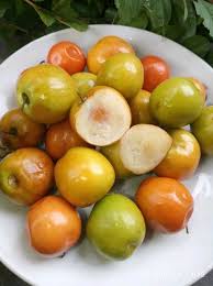 Ternyata, daun bidara yang berasal dari varietas unggul dapat dimakan dalam keadaan segar. Jual Buah Bidara Arab Siap Konsumsi 1 Kg Di Lapak Pusat Grosir Bidara Bukalapak