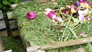 Sie besteht aus dem singular und plural als gegenglieder. Gartentipp Kompost Anlegen Und Pflegen Garten Kaffee Oder Tee Swr De