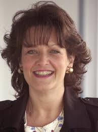 Algonac council, recall candidates push for 'positive movement'