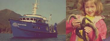 Welcome To The Alaska Small Ship Cruise Linealaskan Dream Ventures