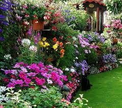 Birmingham England Cottage Garden Design Beautiful Gardens Cottage Garden