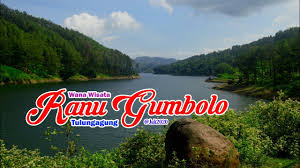 Bagi anda yang belum pernah ke ranu kumbolo dan tertarik untuk menjejakkan kaki di sana, sebelum berangkat silahkan simak dulu beberapa informasi penting terkait danau kumbolo pada artikel berikut ini. Pesona Wana Wisata Ranu Gumbolo Tulungagung Youtube