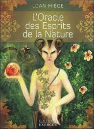 Air, terre, feu, eau et ether. L Oracle Des Esprits De La Nature French Edition Miege Loan 9782361881498 Amazon Com Books