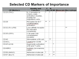 Cd Markers Chart Complaintboard Me