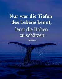 Gefallt Mir Wie Der Berg Fuji Als Lebensweg Inspirierende Zitate Und Spruche Nachdenkliche Spruche Spruche Zitate