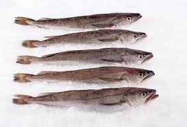 Whiting Whole Fish Citarella