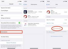 (a) subscriptions that are use your iphone, ipad, or ipod touch to cancel subscriptions. How To Cancel Your App Store Subscriptions On Iphone Ipad Mac And Apple Tv