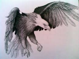 Realistic Bird Of Prey Tattoo Eagle Tattoos Eagle Tattoo Design American Eagle Tattoo Karakalem Cizimler Cizimler Cizim