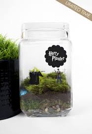 Harry Planter Harry Voldemort Terrarium Terrarium Decor Harry Potter Room Decor