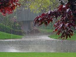 Resultado de imagen de paisajes tristes