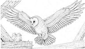 Barn Owl Brings A Prey For Its Babies Coloring Page From Owls Category Select From 26736 Printab Owl Coloring Pages Horse Coloring Pages Animal Coloring Pages
