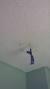 Fresh Water Stain On Ceiling