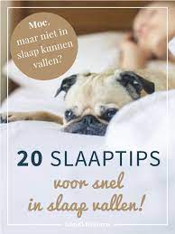 Moe Maar Niet Kunnen Slapen 20 Slaaptips Voor Snel In Slaap Vallen Goodlifeguru In Slaap Vallen Slapen Avond Yoga